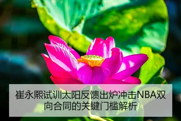 崔永熙试训太阳反馈出炉冲击NBA双向合同的关键门槛解析