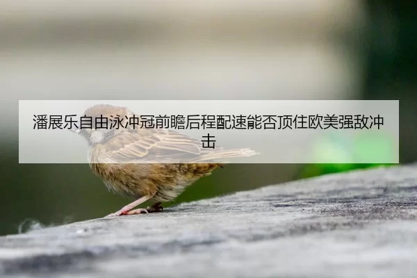 pan-zhan-le-zi-you-yong-chong-guan-qian-zhan-hou-cheng-pei-su-neng-fou-ding-zhu-ou-mei-qiang-di-chong-ji-2-543.jpg