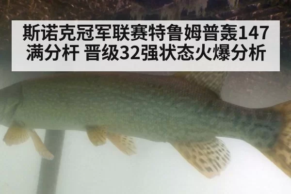 斯诺克冠军联赛特鲁姆普轰147满分杆 晋级32强状态火爆分析