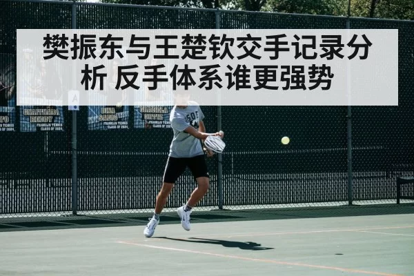 樊振东与王楚钦交手记录分析 反手体系谁更强势