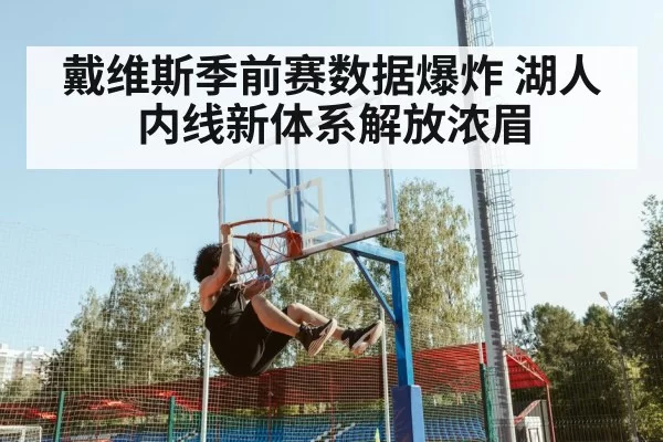 戴维斯季前赛数据爆炸 湖人内线新体系解放浓眉