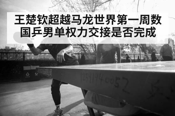 Ma Long table tennis