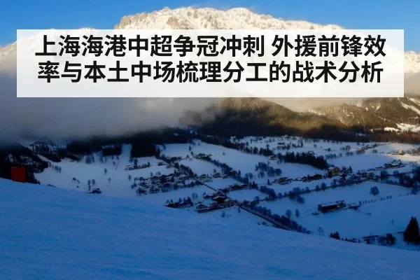 上海海港中超争冠冲刺 外援前锋效率与本土中场梳理分工的战术分析